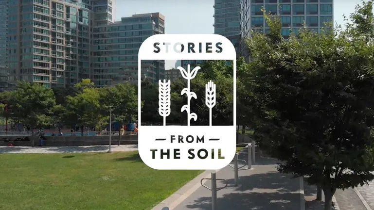 Stories From the Soil logo over a city park